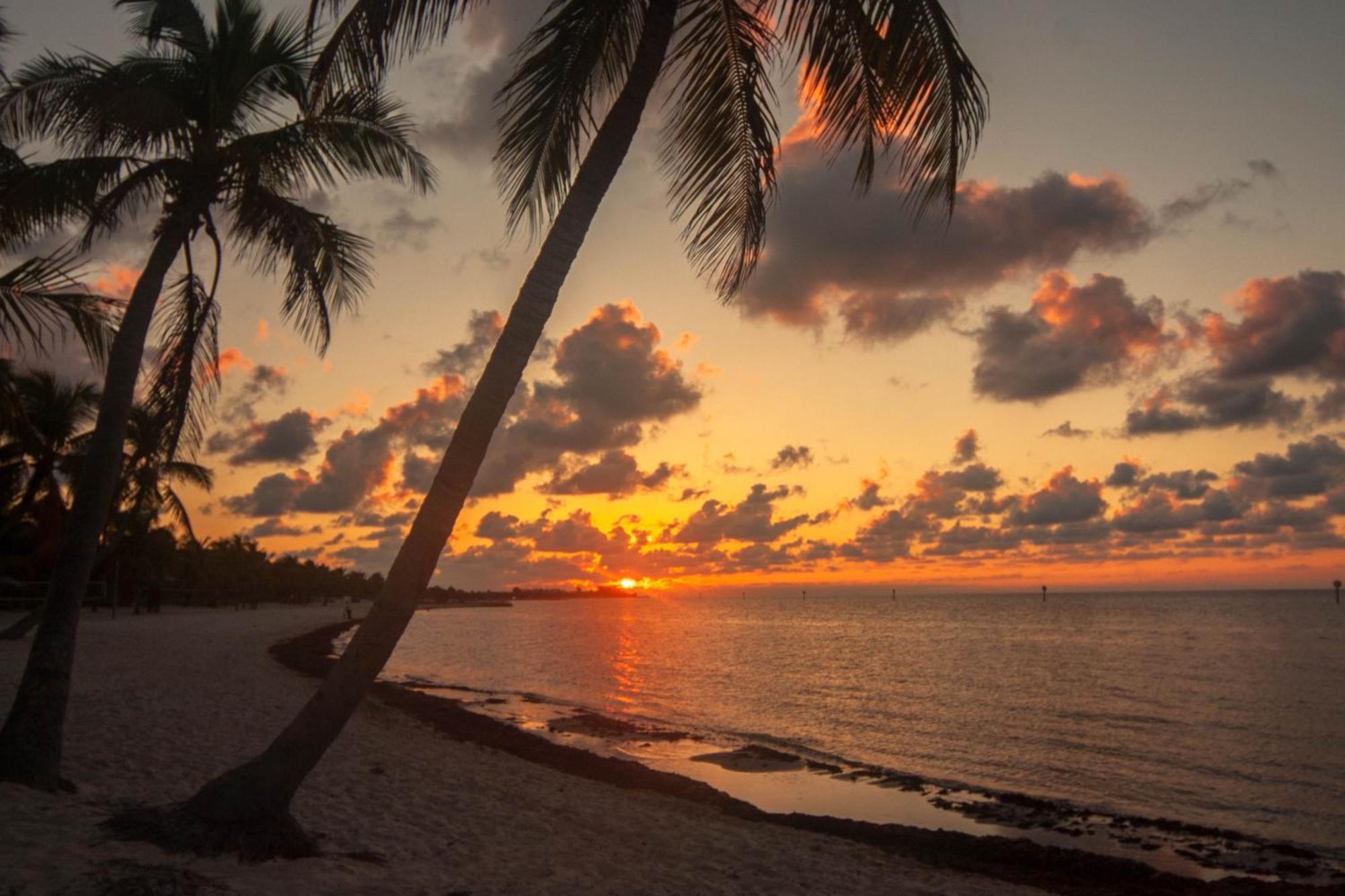 Truman Key West Pokój zdjęcie